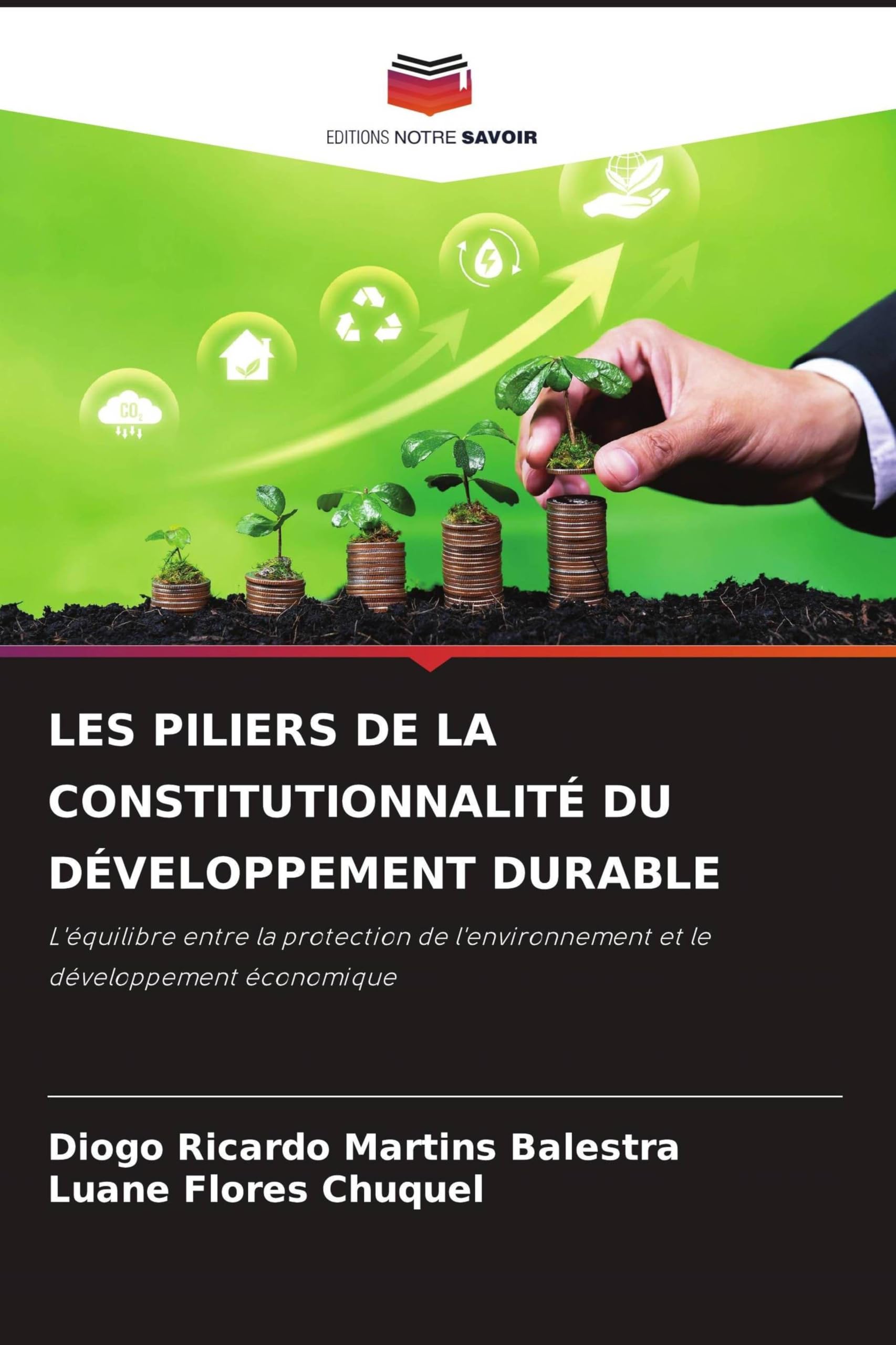 Les Piliers de la Constitutionnalité Du Développement Durable: L'équilibre entre la protection de l'environnement et le développement économique
