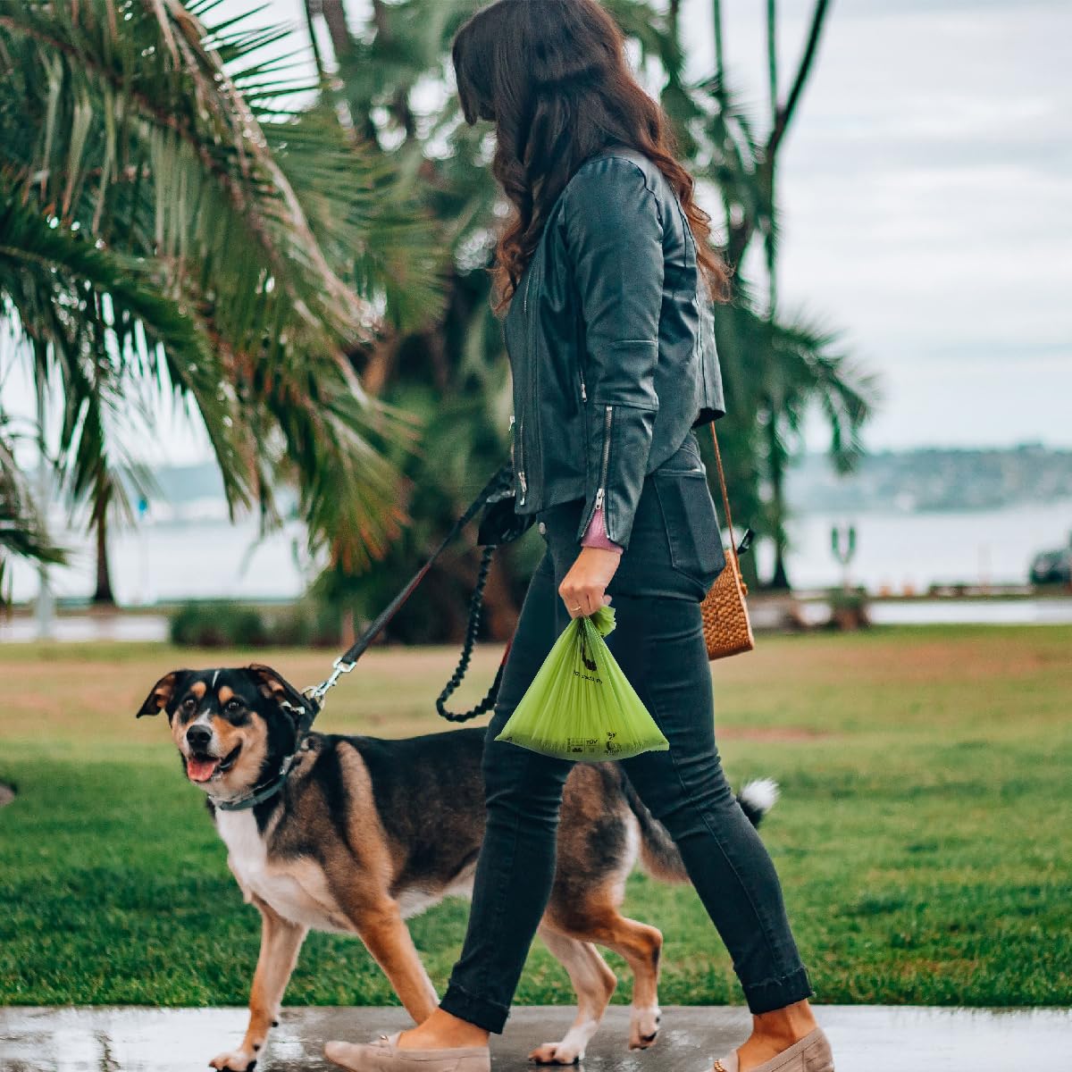 Bolsa compostable certificada, 120 unidades, ecológicas y a prueba de fugas, fácil de abrir, 100% compostable, verde bosque para perro, 15 bolsas para perros por rollo (8 rollos)