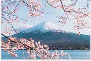 富士山と桜を描いたアートパネル Amazon.co.jp: 絵画 富士山を背景にした桜インテリア 絵画 魅惑