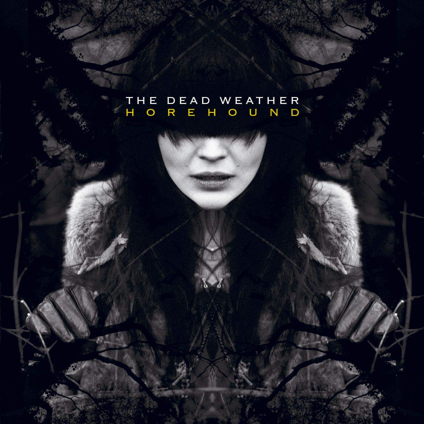 Horehound (Standard) [Audio CD] The Dead Weather