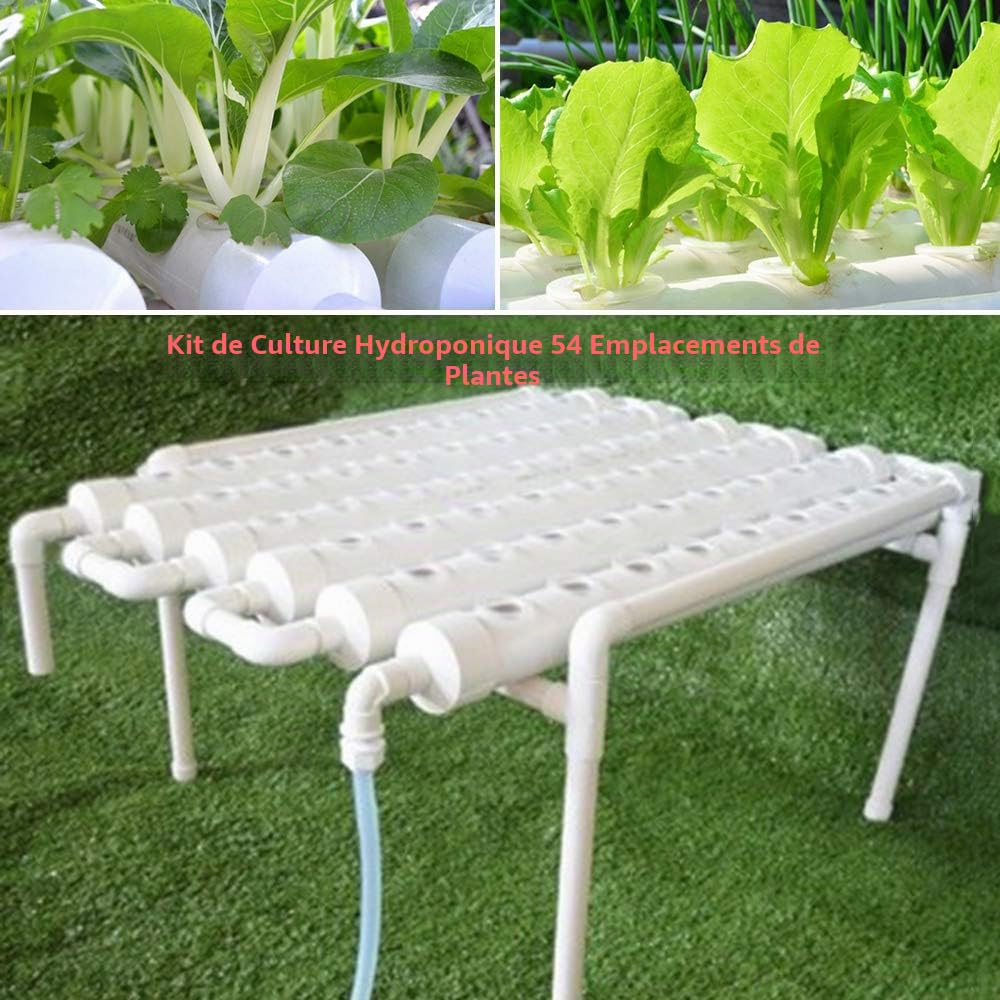 Kit de culture hydroponique avec 54 emplacements de plantes, 1 couche pour plantes et légumes