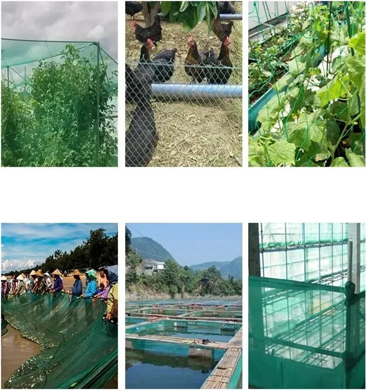 Nylon Anti Bird Netting Garden Bird Proof Net Crops Fish Pond Cherry Tree Fruit Nylon Protective Intercept Dog Cat Deer Fence(Green 6shares 2cm Hole,Wide 3x5m)