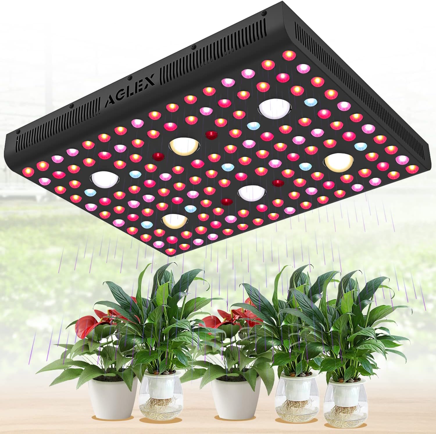 AGLEX 655W COB LED Grow Light, Full Spectrum Plant Grow Lamp with Daisy Chain Veg and Bloom Switch for Hydroponic Greenhouse Indoor Plant Veg and Flower (C3000)