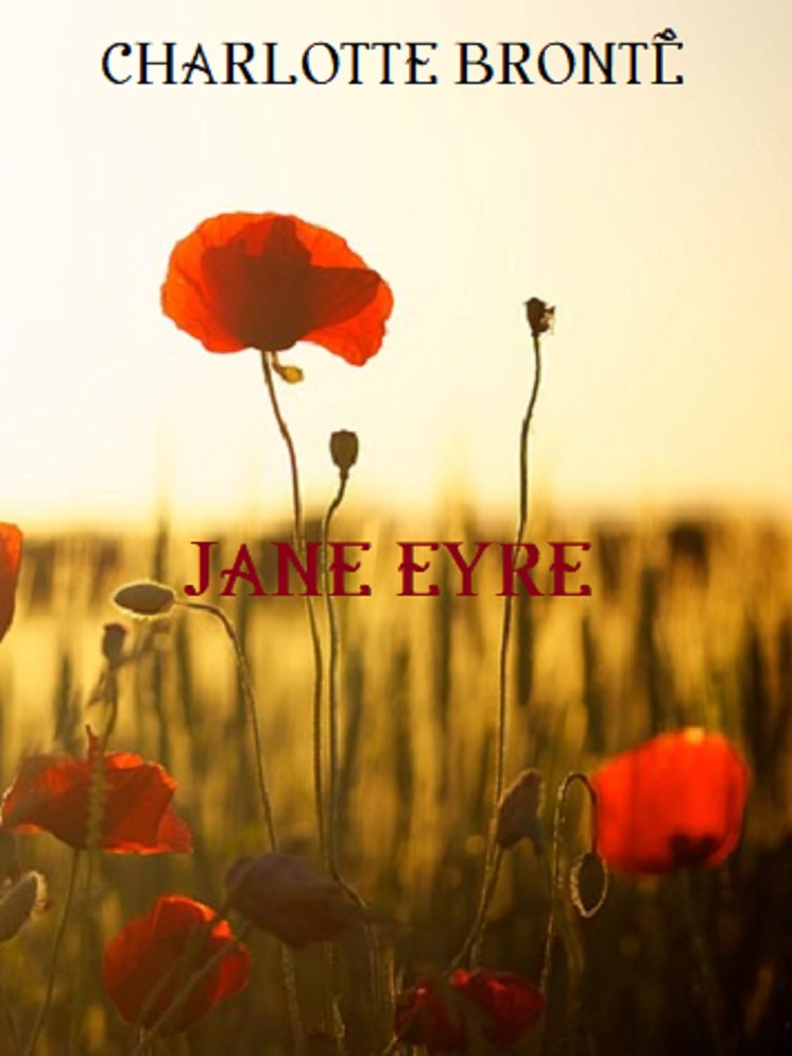 Jane Eyre (Italian Edition)