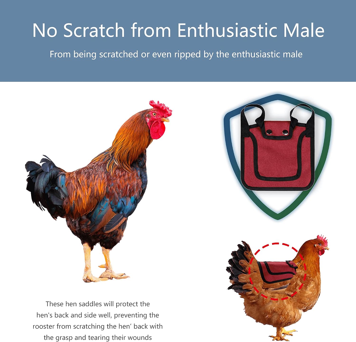 3 Pieces Premium Chicken Saddles with Adjustable Strap, Hen Saddle Sweater Clothes, Birds Protector for Back and Sides, Poultry Accessories for Hens, Suitable for 5-7.6lbs, Red & Blue & Purple