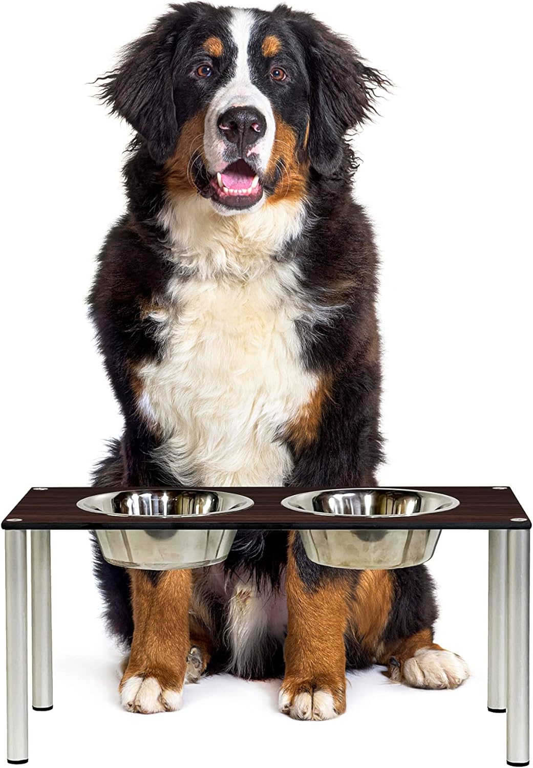 Raised Pet Bowls for Cats and Dogs, Outdoor Elevated Dog Cat Food and Water Bowls Stand Feeder on Aluminum Legs with 2 Stainless Steel Bowls Sizes for Small Medium and Large Dogs. Large (Tosca)