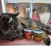 Review Image by R R (Riveting Reviews)