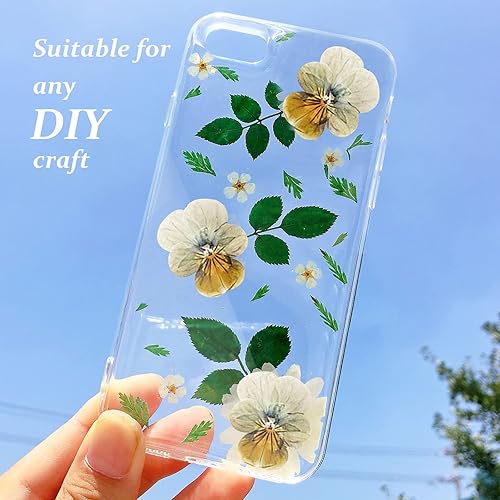 Miniatura 6 de ALJ Flores de pensamiento prensadas secas marrones para manualidades de resina, 60 flores naturales de resina, para joyería, velas, tarjetas, jabón,