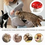 Ver la foto 2