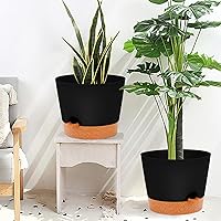 Vista 67 de GARDIFE 10/9/8 inch Plant pots, planters for Indoor Plants, self Watering Plant Pot, Flower pots, Black