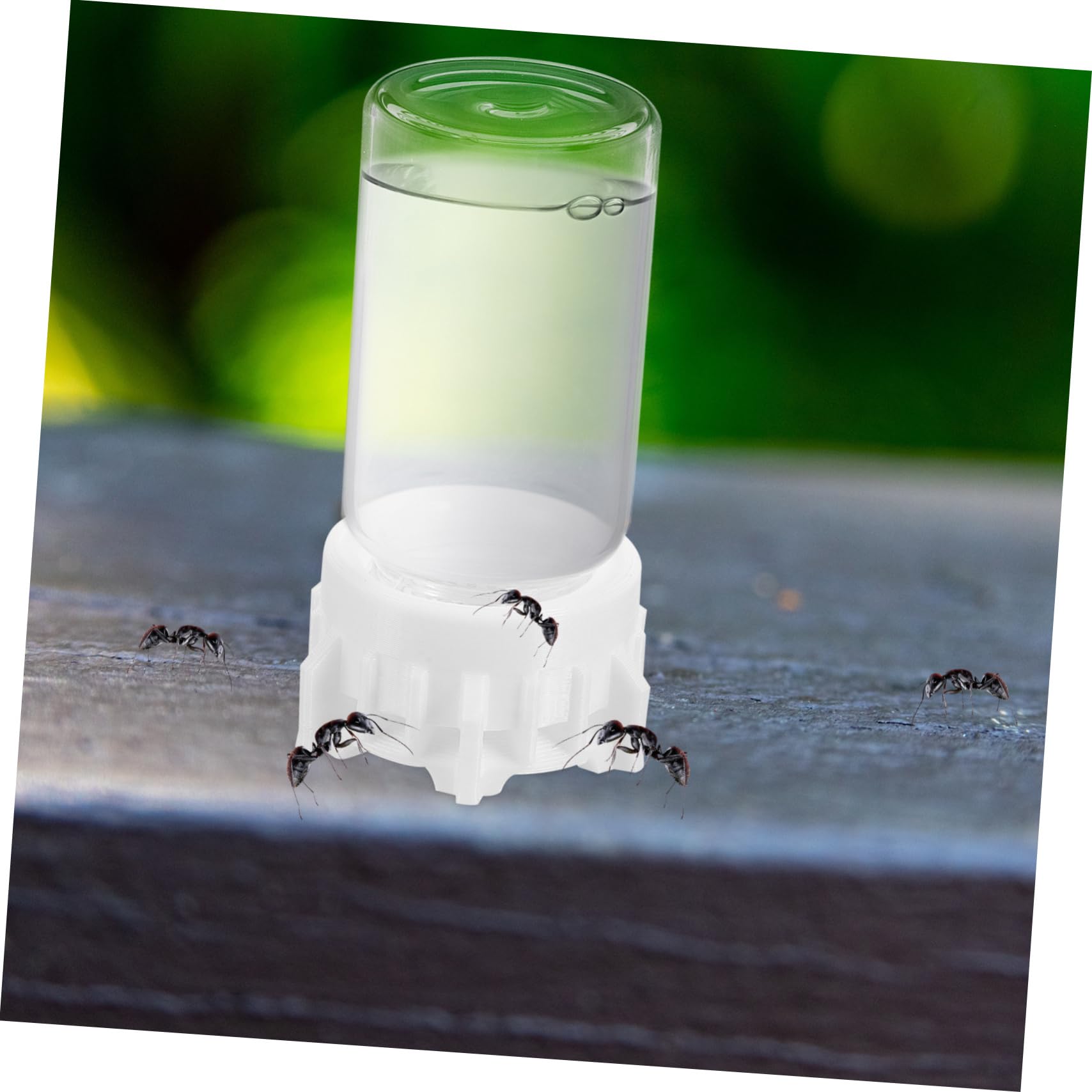 POPETPOP Bebedero para Hormigas de 20ml Diseño Profesional y Resistencia al Desgaste, Dispensador de Agua de Vidrio y Plástico Adecuado para Observación Científica en Verano