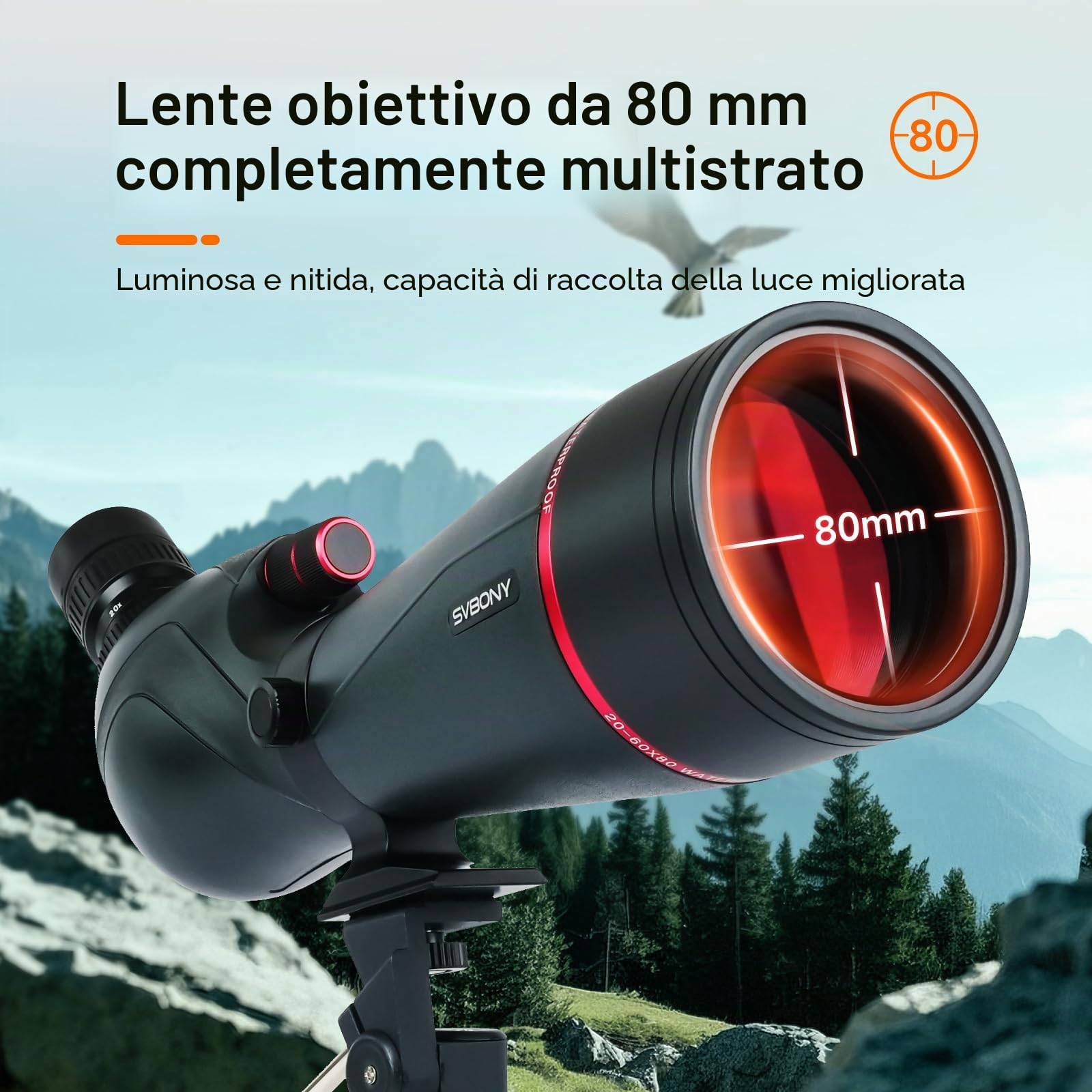 Svbony SV406 20-60x80mm Cannocchiale, HD FMC BAK4, Doppia Messa a Fuoco, 1,25'' Oculare Rimovibile, IPX7 Impermeabile, con Treppiede, Borsa, per Birdwatching, Animali Selvatici, Paesaggi, Tiro a Segno