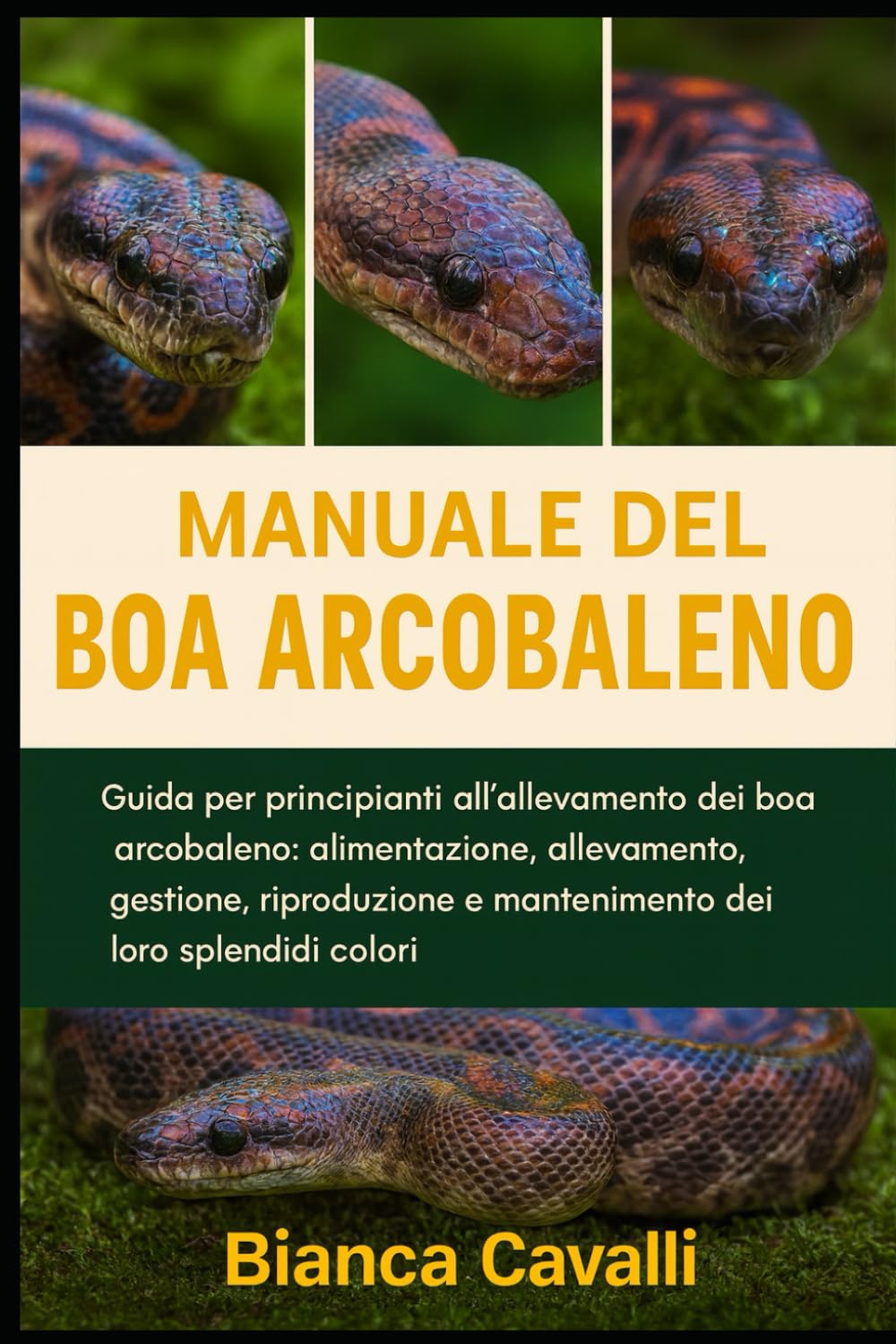 Manuale del Boa Arcobaleno: Guida per principianti all'allevamento dei boa arcobaleno: alimentazione, allevamento, gestione, riproduzione e mantenimento dei loro splendidi colori