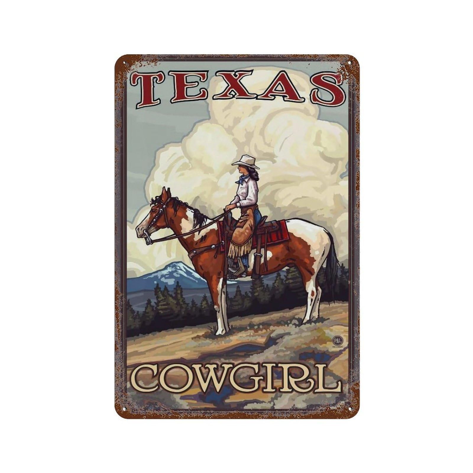 YHGERTKU Cowgirl Wall Art Retro Iron Vintage Metal Tin Sign Poster Modern Decor for Living Rooms Gift 30x20cm