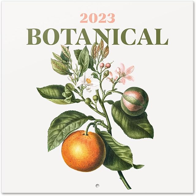 Official Botanical Wall Calendar 2023 12" x 12" FSC®| 12 Month Planner | Square Wall Calendar 2023 | Family Planner Calendar 2023 | Vintage Calendar 2023 | + 4 Bonus Months