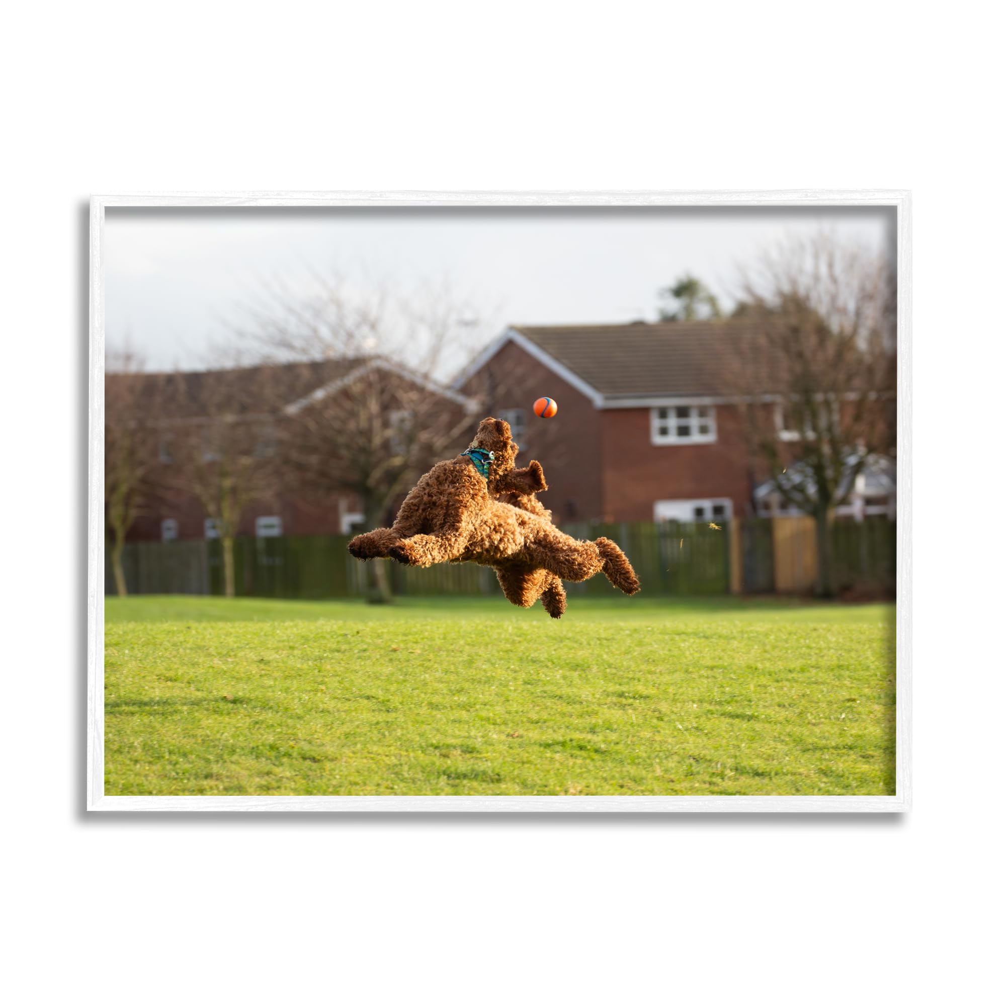 Stupell Industries Eye on the Ball Dog Framed Giclee Art by Gill Woodcock