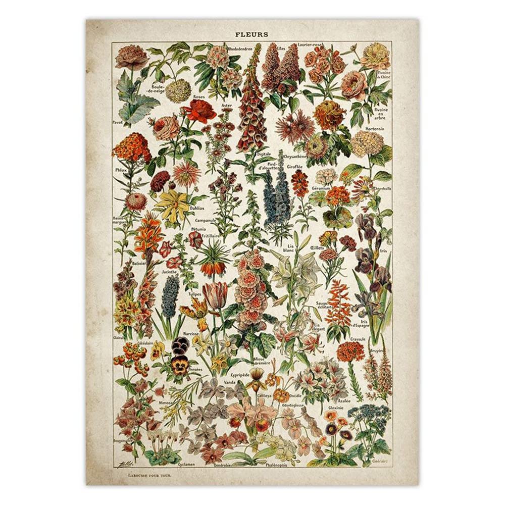 Poster vintage fleurs et champignons pour salon chic et rétro - 4