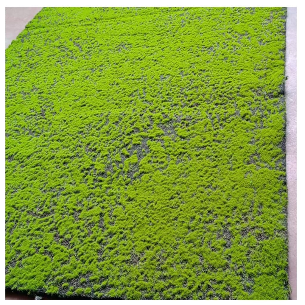 Artificial Moss for Crafts – Realistic Faux Green Moss Decoration for Terrariums DIY Projects(2 Size)