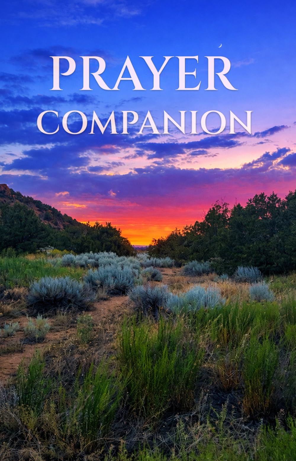 Prayer Companion: How to Pray in 4 Steps