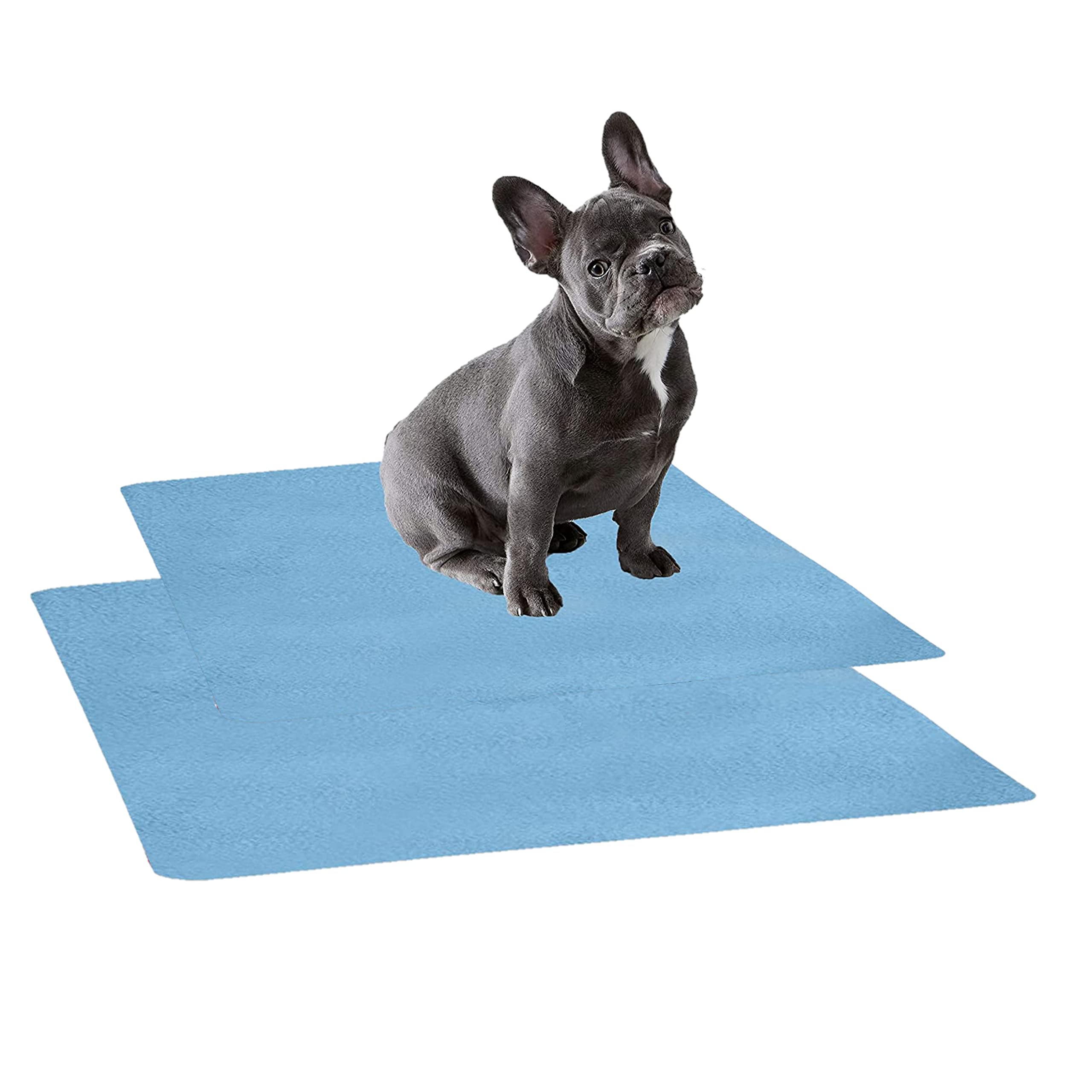 See full amazon price history chart for Trance Waterproof Pet Training Pads | Reusable Pee Pad for Dogs Cats Puppy and Pets | Washable Pet Dry Sheet | Potty Trainer | Soft and Hypo-Allergenic (Small, Size 0.5 x 0.7 m | 50 x 70 Cms, Sky Blue)- Pack Of 2 Trance Waterproof Pet Training Pads | Reusable Pee Pad for Dogs Cats Puppy and Pets | Washable Pet Dry Sheet | Potty Trainer | Soft and Hypo-Allergenic (Small, Size 0.5 x 0.7 m | 50 x 70 Cms, Sky Blue)- Pack Of 2 (B09FK82M1S) Amazon Price History, Amazon Price Tracker
