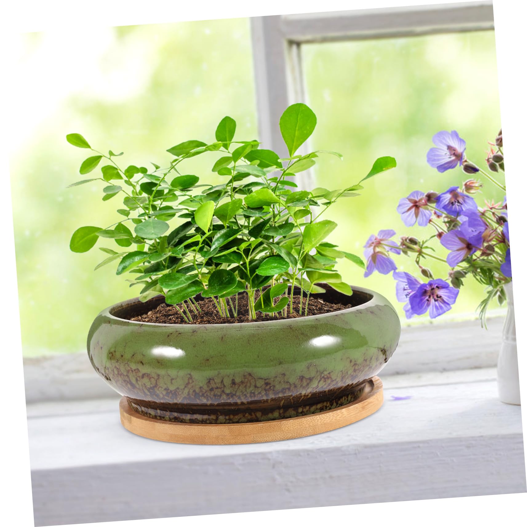 2 Stück Bonsai Trainingstöpfe aus Keramik mit Untersetzer