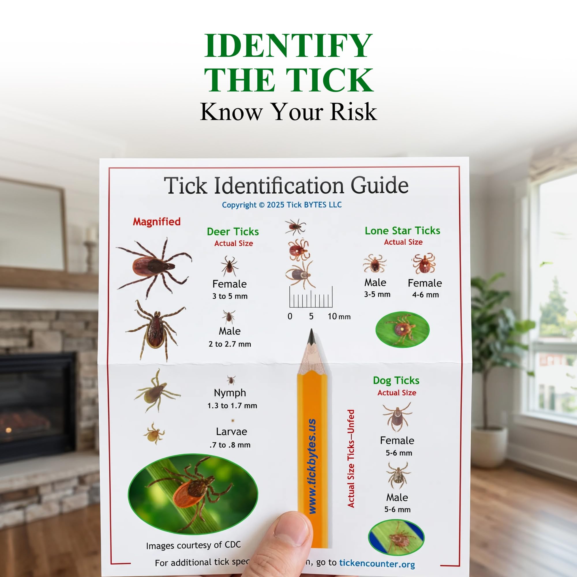 TickBYTES - Kit per la rimozione delle zecche, pinzette a punta fine in acciaio inox con lente d'ingrandimento e carta d'identità, strumento sicuro per rimuovere le zecche, portatile, essenziale per