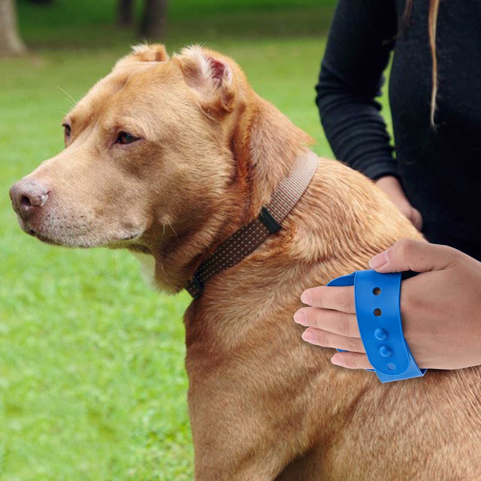 Molain 2-in-1 Badborstel Voor Honden En Katten – Siliconen Rubber Massageborstel Met Verstelbare Ringgreep, Blauw En Geel