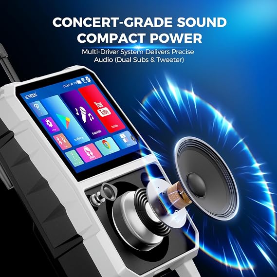 15.6 Full HD Touch Screen Karaoke Machine for Adults