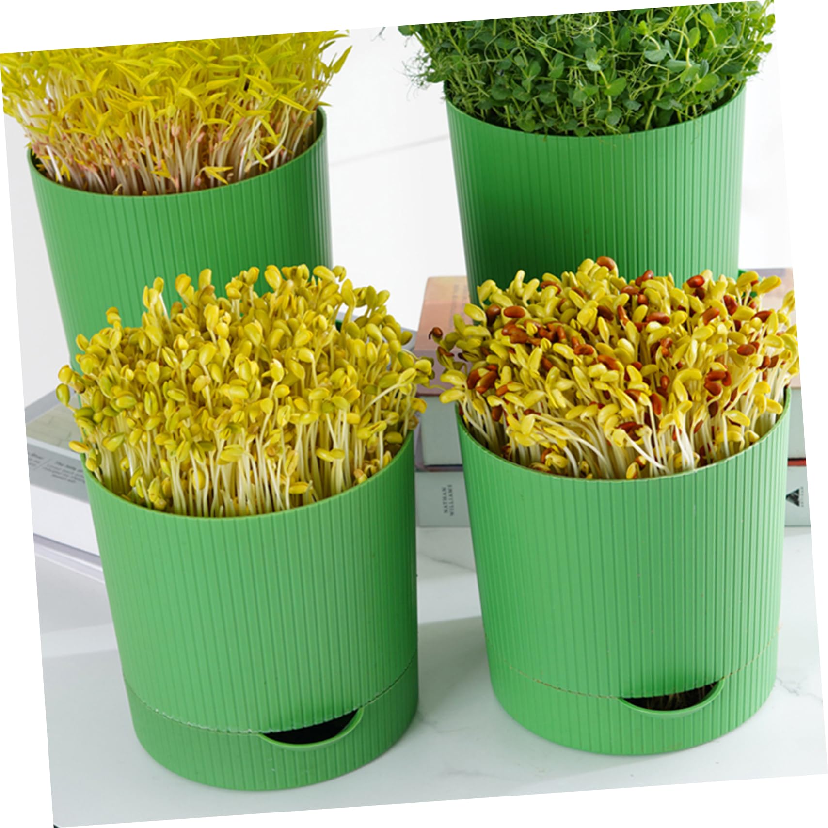 BESPORTBLE Kit de Germination de Graines, Plateau Germoir en PP et Pierre, Réutilisable, Respirant, Évacuation D’Eau, pour Soja et Blé, Restaurant ou Jardin