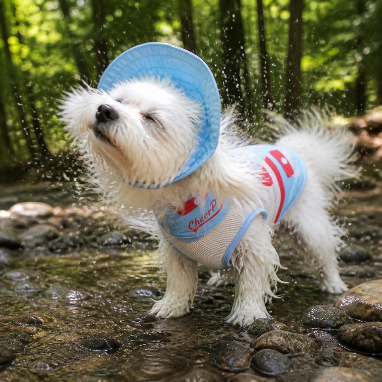 Vêtement Rafraîchissant Chien, Style 1 | Tissu respirant, résistant aux éclaboussures, doublure fraîche, gilet, protection 50+, pour le confort, pour animaux