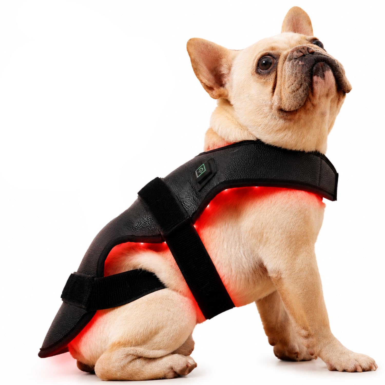 Photo 1 of One PETS-TOP Red Light Therapy Dog Vest
