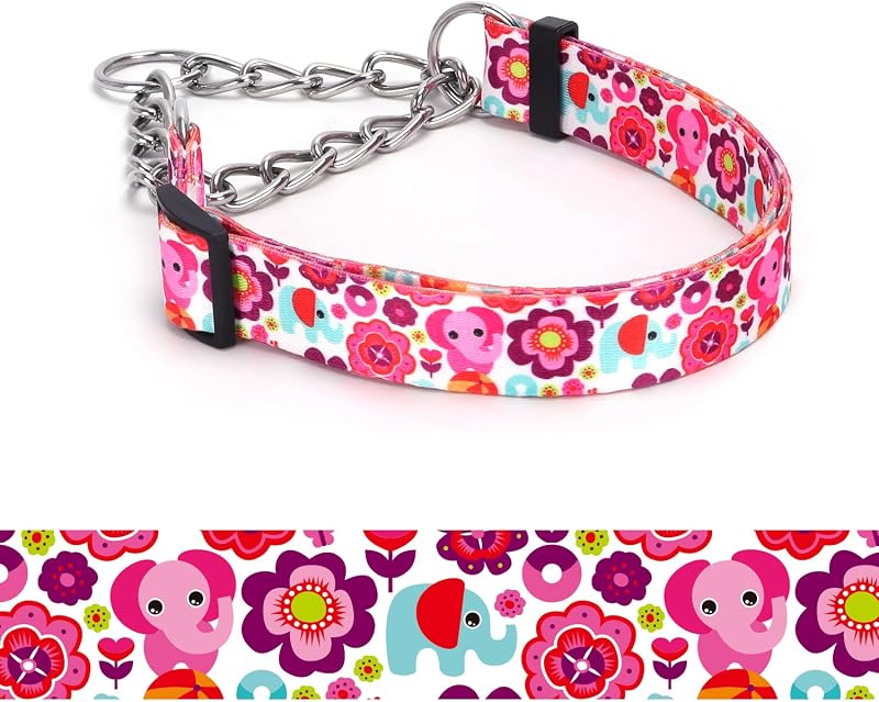 Coleira Martingale para Cães com Corrente de Aço Inoxidável e Estampa Floral haoyueer – Modelo A12, Tamanho S