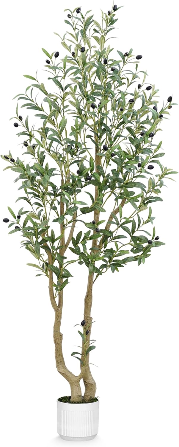 Olive Tree 6ft, Artificial Olive Tree with White Pot, Fake Tree with 1296 Dense Leaves & 72 High-Simulated Olive Fruits - Easy Assembly, Low Maintenance (Olive Tree 6ft)