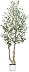 HZXGCP Artificial Olive Tree 6ft with Adjustable Branches and White Pot, a Realistic Indoor Faux Plant Ideal for Home and Office Decor - Effortless Assembly (Olive Tree 6FT)