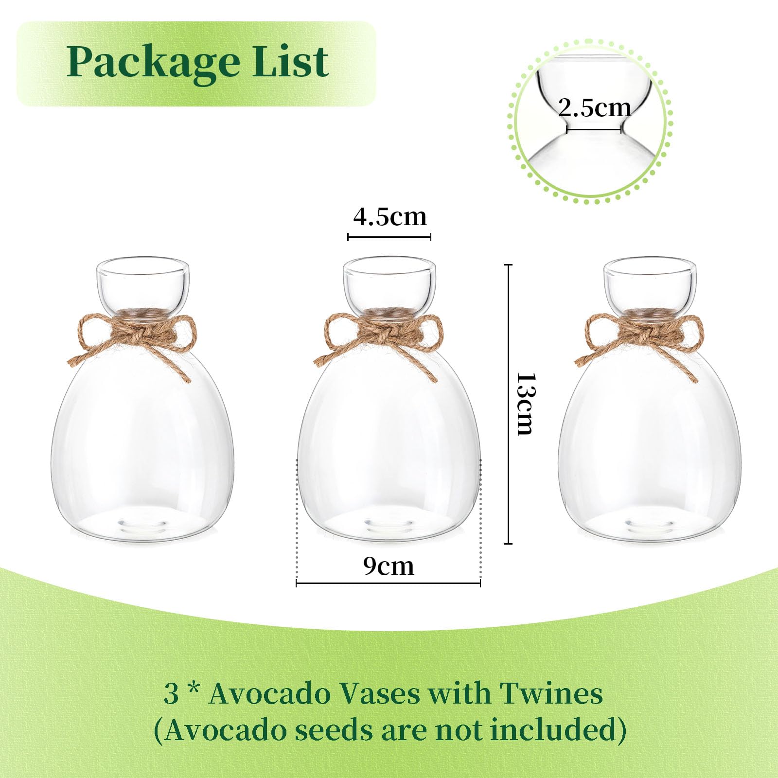 Terrario Moderni Vaso Decorativo da Interno - 3 Qvocado per Idrocoltura in Vetro - Idroponica per Piante, Vasetti Vetro per Arredamento Casa, Idee Regalo Donna