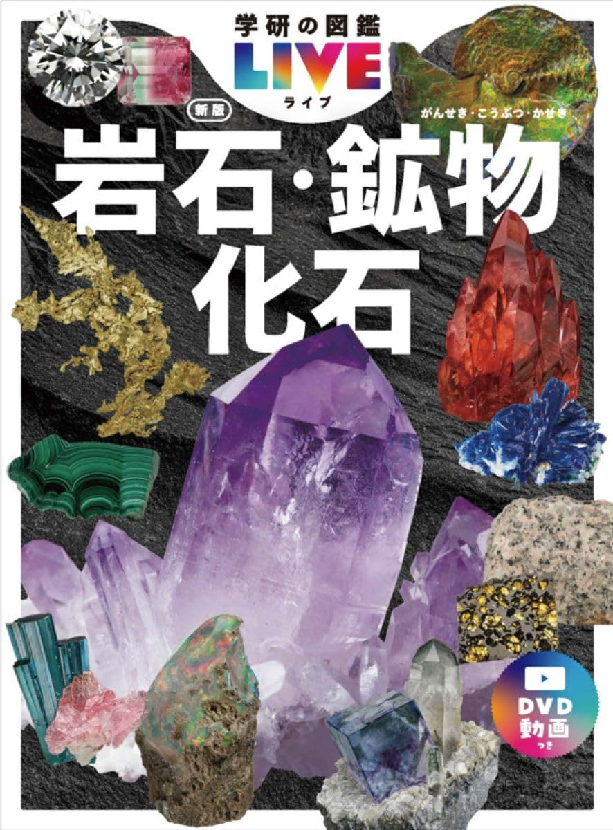 Amazon.co.jp: 岩石・鉱物・化石 新版 (学研の図鑑LIVE 12) : 西本昌司