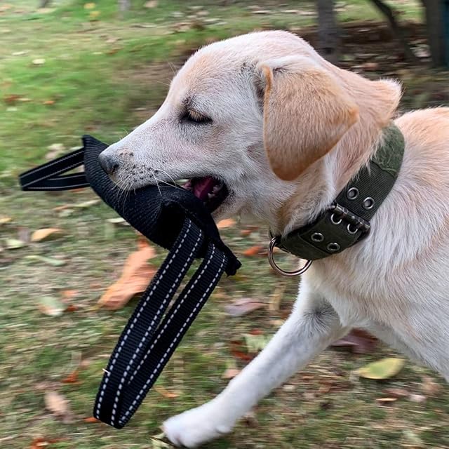 Foto 7 de 8 de DONGKER Juguete para tirar, almohada de entrenamiento para perros con asa para perros pequeños y medianos