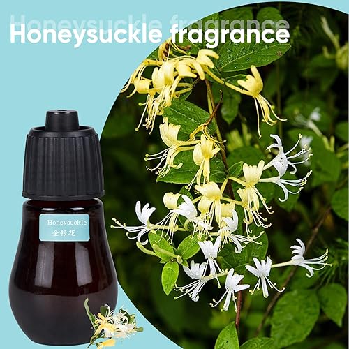 Miniatura 10 de HAPPTWS Difusor de aceite esencial sin agua, 3 niveles de niebla ajustables, recargable, adecuado para dormitorios, baños, habitaciones de mascotas,