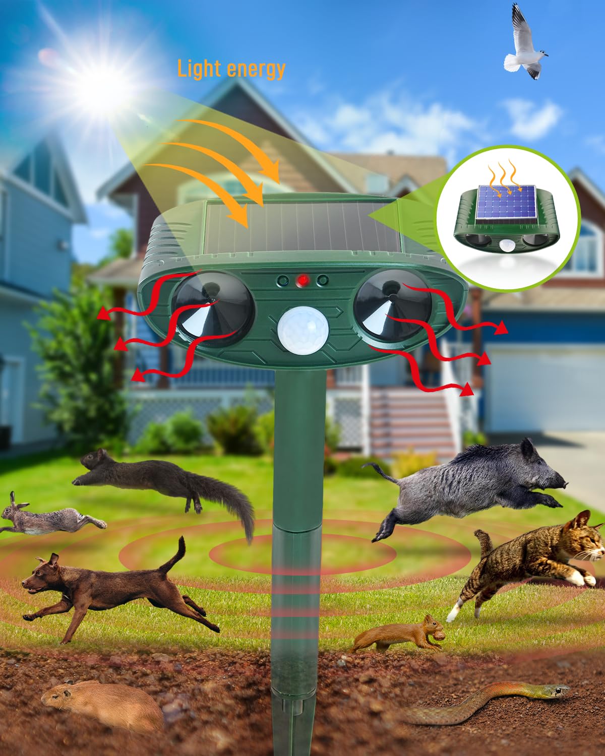 Répulsif solaire pour chat, répulsif ultrasonique pour chat d'extérieur Répulsif solaire pour chat, répulsif ultrasonique pour chat d'extérieur