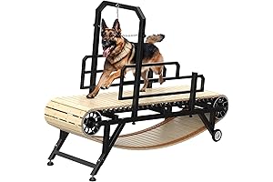 75" Slat Mill Large Dog Treadmill for Indoor & Outdoor Use