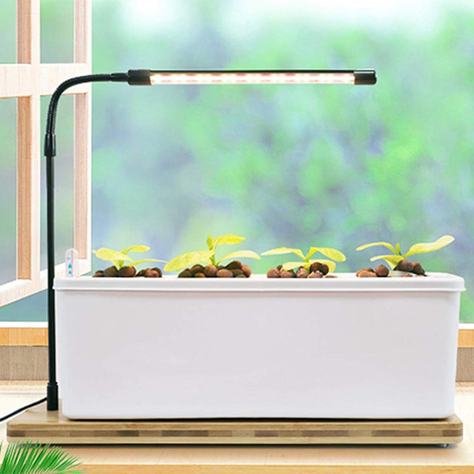 URUQ Hydrocultuur kweeksysteem binnentuin: 12 capsules binnentuinsysteem met LED-groeilicht, in hoogte verstelbare kiemkit voor planten, stille slimme pomp, hydrocultuurpot, verse oogst, zwart URUQ Hydrocultuur kweeksysteem binnentuin: 12 capsules binnentuinsysteem met LED-groeilicht, in hoogte verstelbare kiemkit voor planten, stille slimme pomp, hydrocultuurpot, verse oogst, zwart