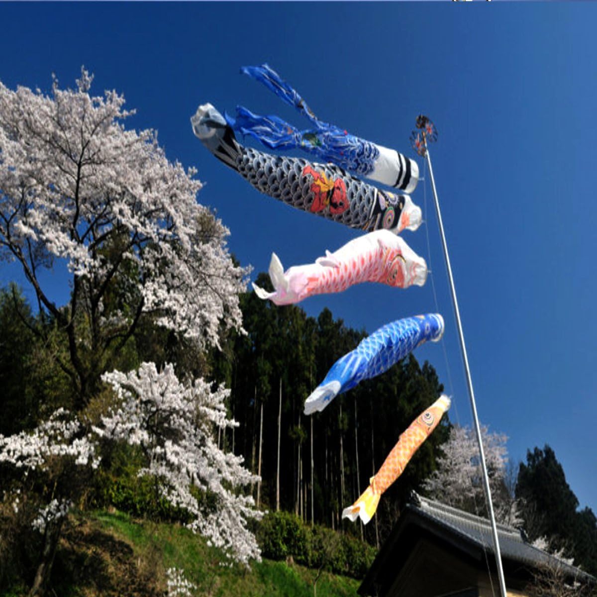 Ologymart 1 Set 5Pcs Japanese Carp Flag Carp Banners Windsock Sailfish Koinobori Wind Streamer Muticolor Fish