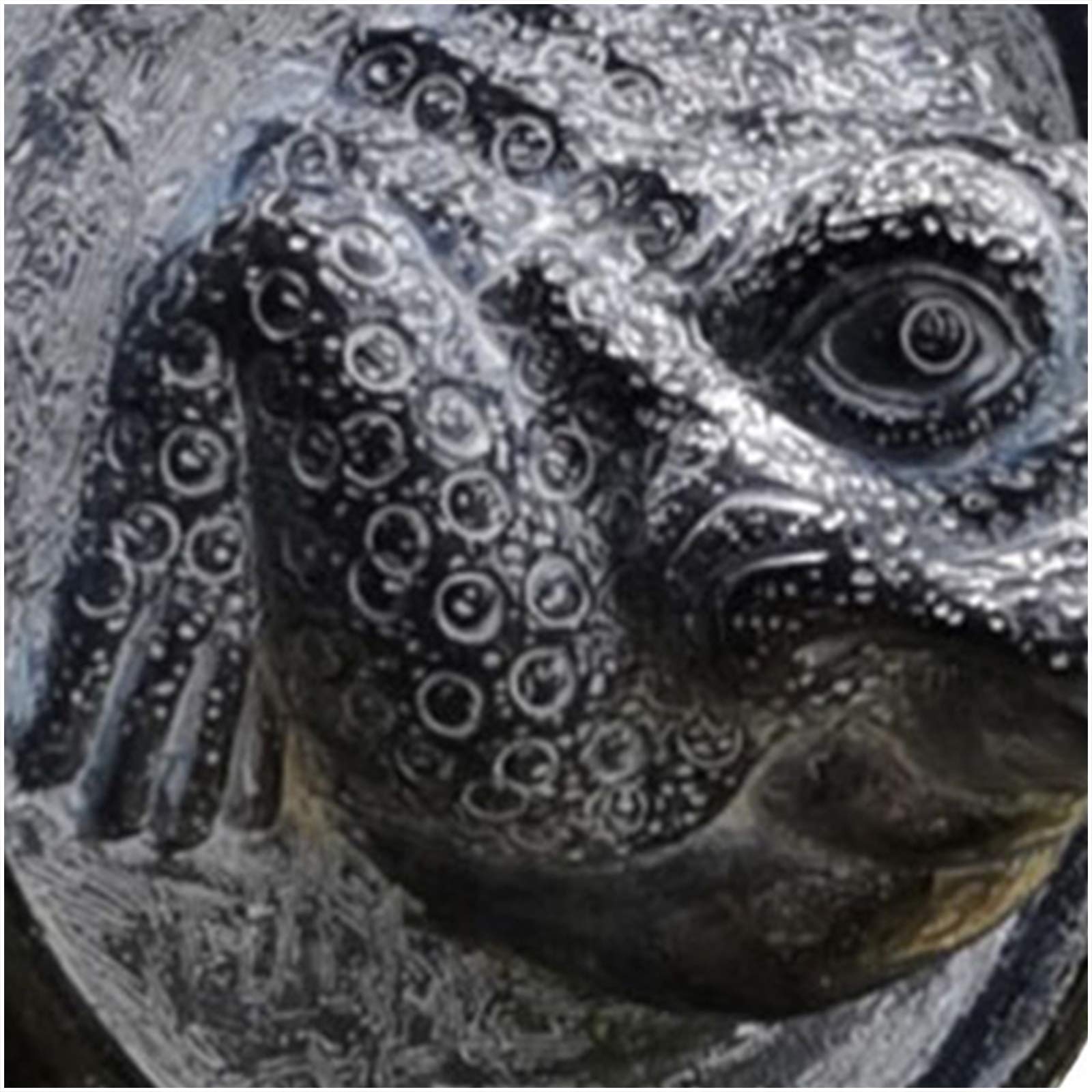 Toad - Fuente de agua para colgar en la pared, diseño de animales en 3D, para patio, jardín, terraza