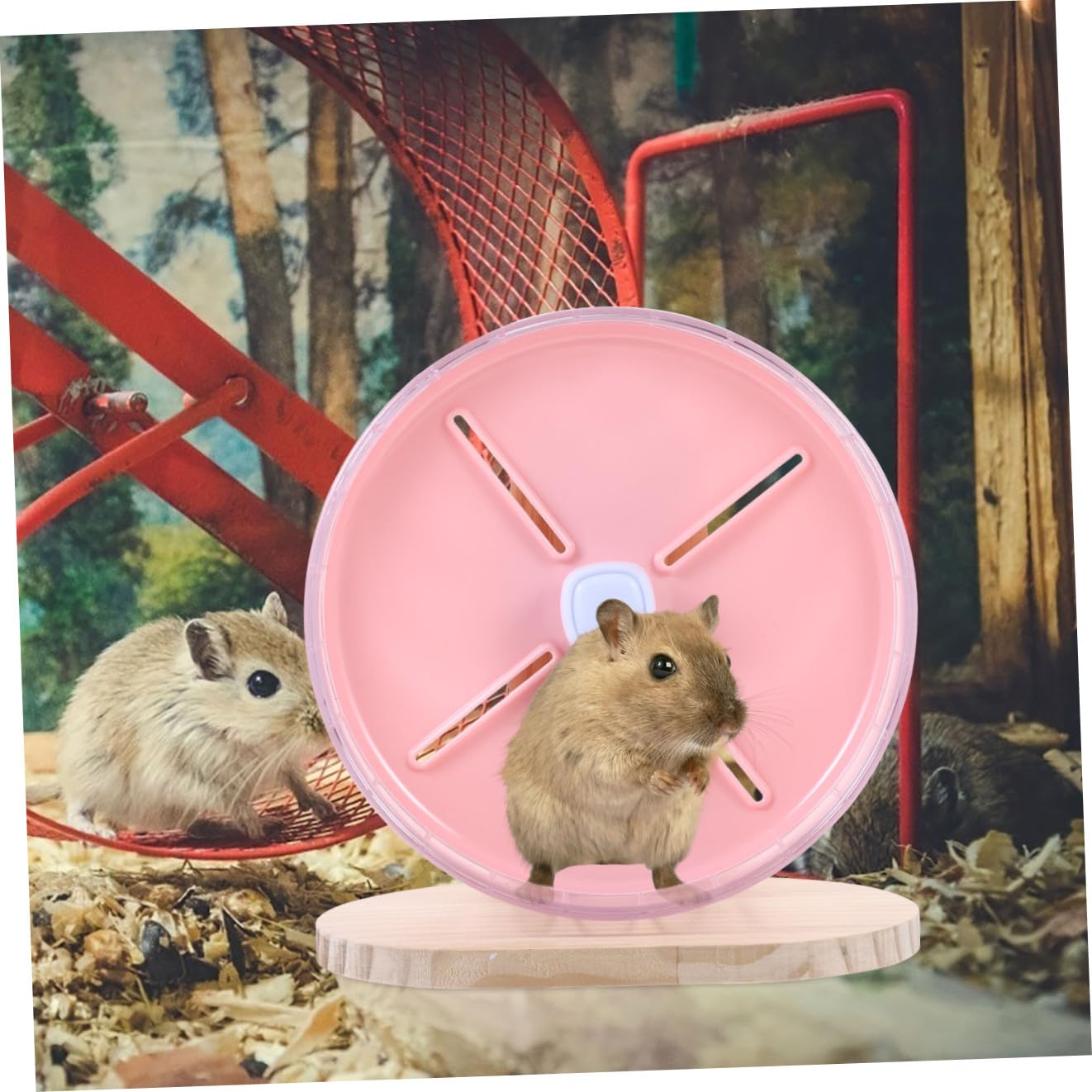 Abaodam Roue Silencieuse pour Hamster Et Chinchilla Accessoire Compact pour Cage Stable Et Décoratif pour Rat Et Hérisson