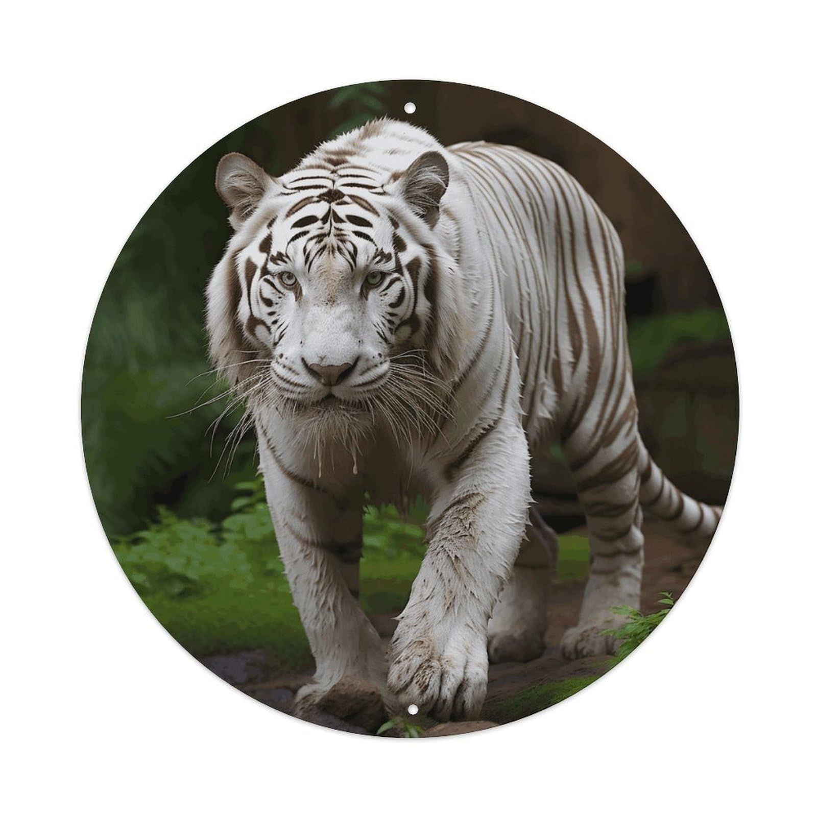 LZQPOEAS Majestic White Bengal Tiger Round Aluminum Wall Art Sign, Metal Indoor Wall Decor with Holes, Durable Circular Aluminum Plaque for Home, Bar, Cafe, Living Room, And Office Decoration