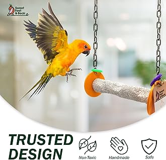 Sweet Feet and Beak Roll Bird Swing - Pumice Perch Bird Toys Trims Nails and Beaks, Safe and Non-Toxic Bird Cage Accessories for Small and Large Birds, Swinging Toys Birds Will Love, Medium 9 Inches