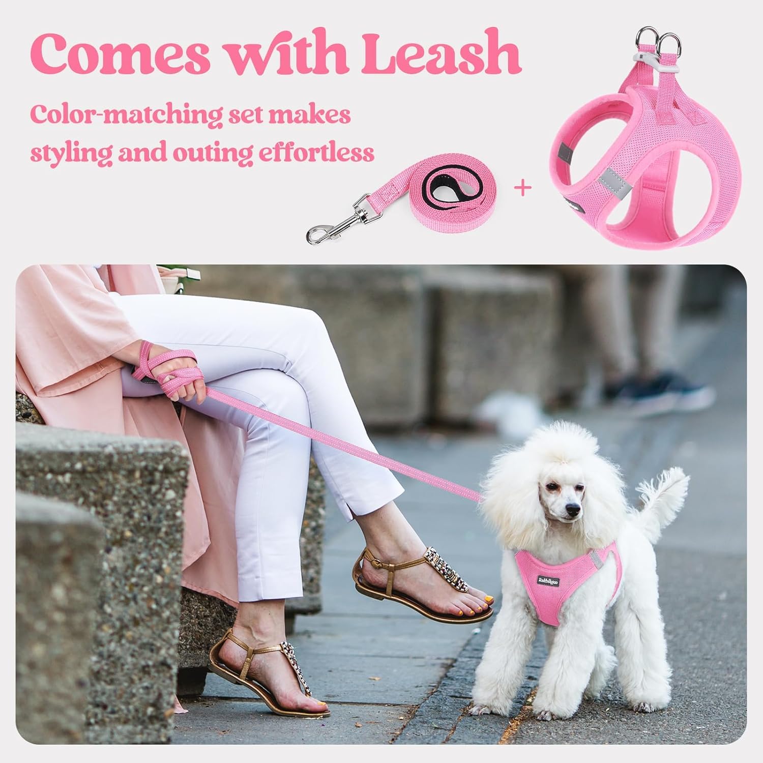 rabbitgoo Dog Harness Small Sized and Leash Set, Step in Soft Light Puppy Vest, Breathable Mesh Pet Harness, Reflective for Safe Easy Walking, Light Pink M