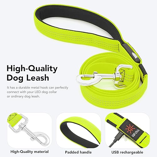 Miniatura 8 de Colaseeme Correa LED para perro, correa para perro iluminada, correa de nailon recargable micro USB, correa de nailon brillante estándar de