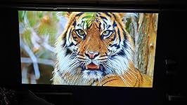 Review Image by De Jo