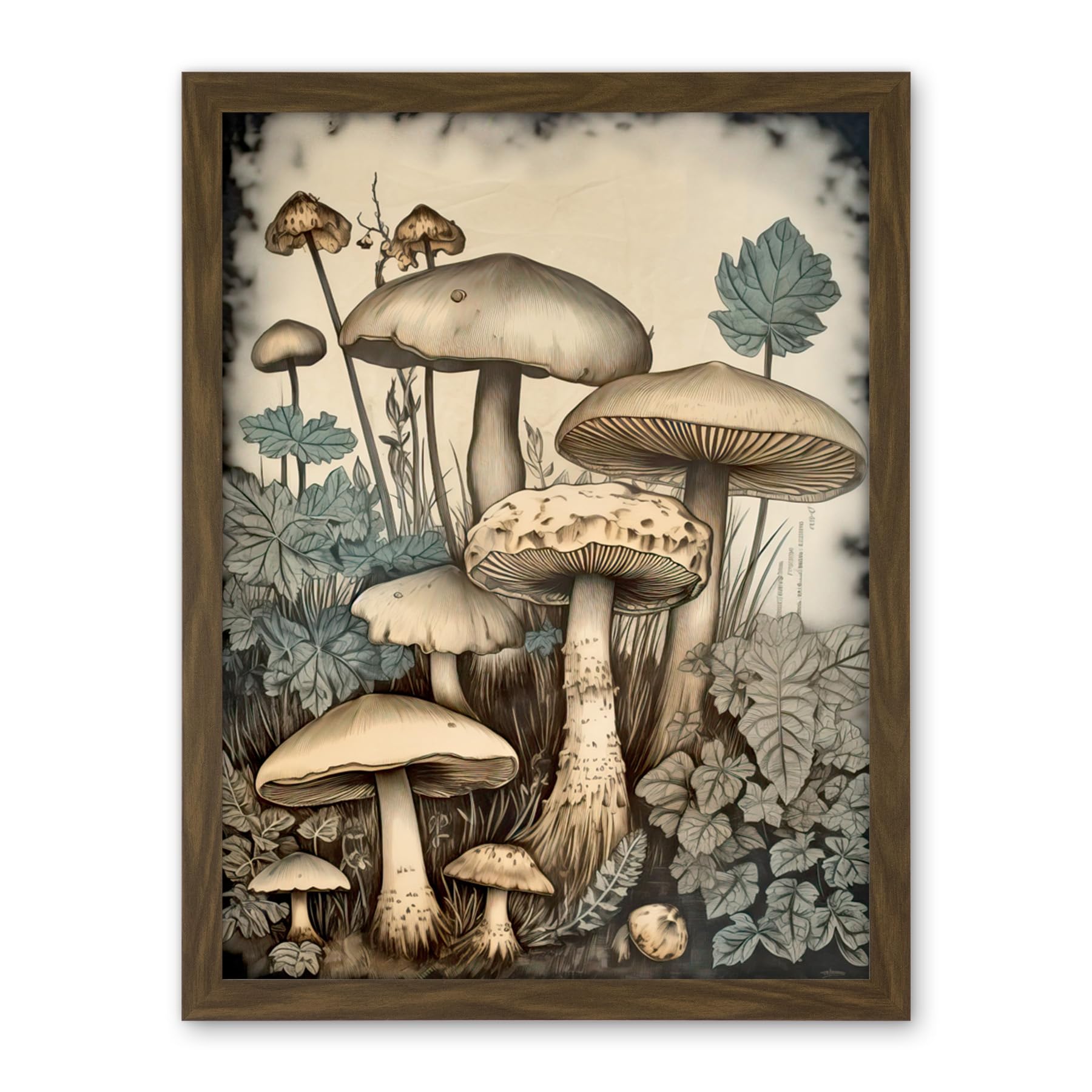 Artery8 Mushroom Fungi Watercolour Vintage Cottagecore Aesthetic Rustic Decor Artwork Framed Wall Art Print 18X24 Inch